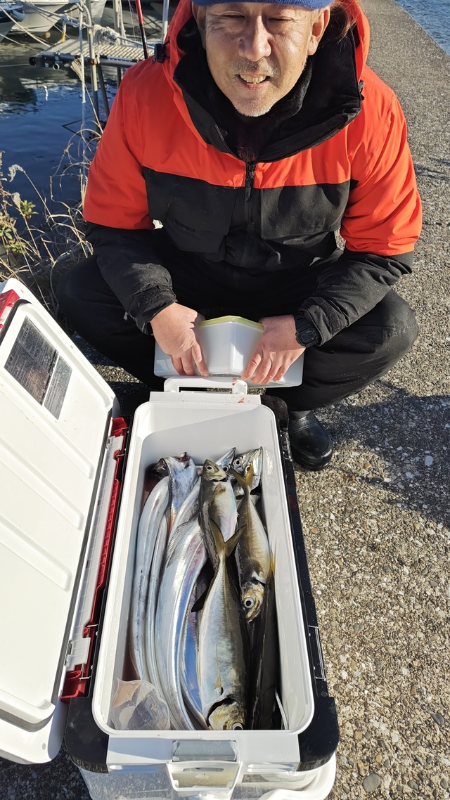 アジ(マアジ)・タチウオ