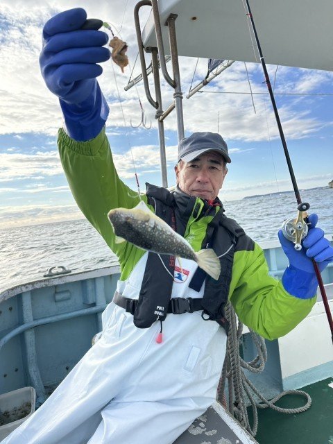 フグ(ショウサイフグ)