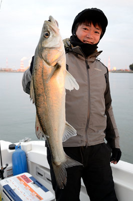 シーバス(スズキ)