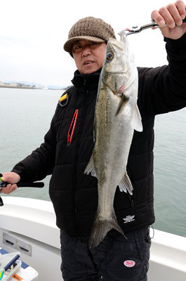 シーバス(スズキ)