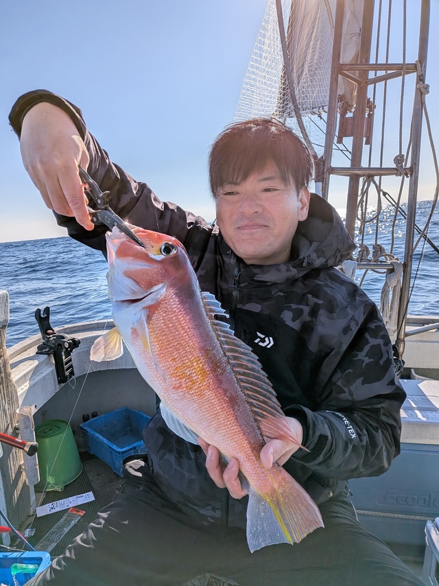 アマダイ(アカアマダイ)