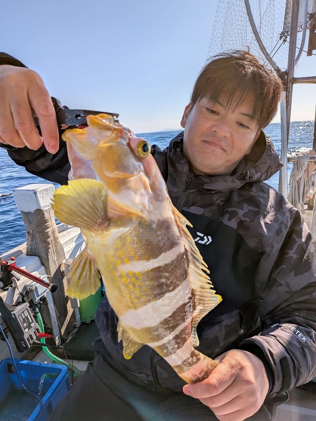 アオナ(アオハタ)