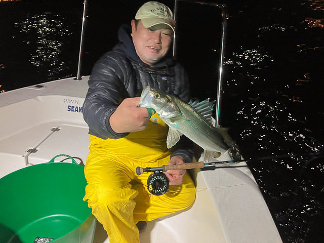 シーバス(スズキ)