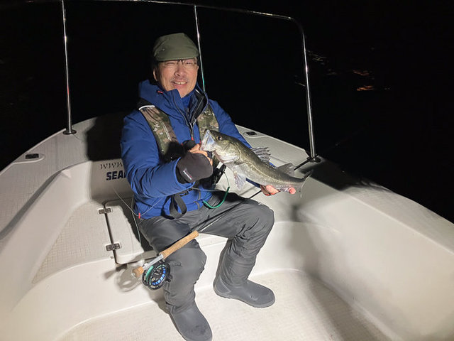 シーバス(スズキ)