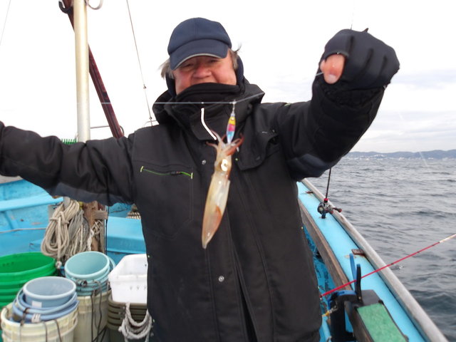 マルイカ(ケンサキイカ)