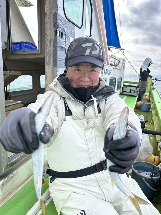 カマス(アカカマス)