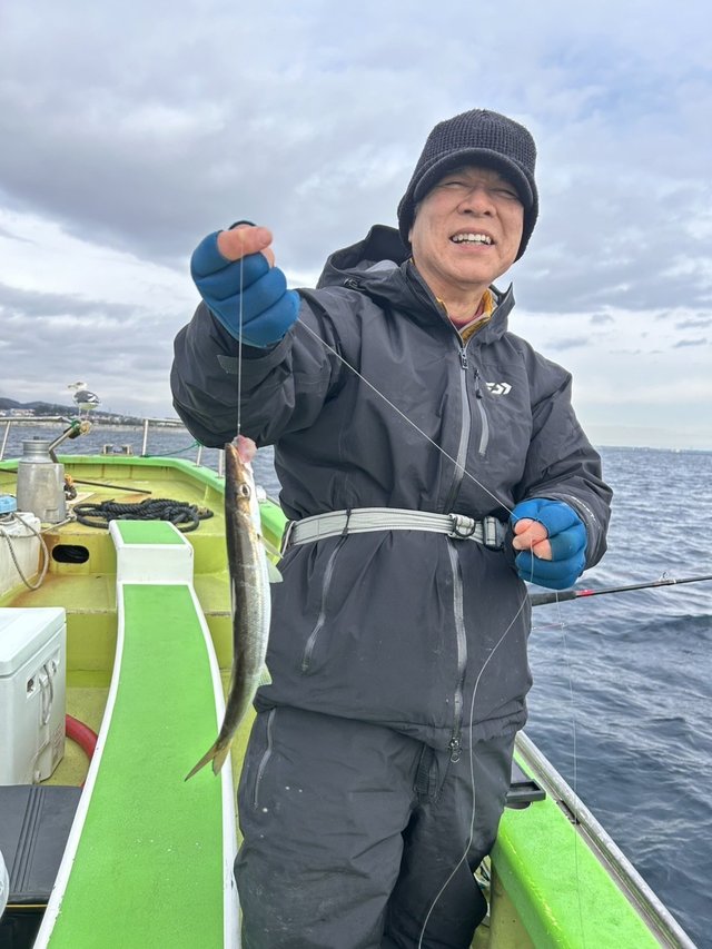 カマス(アカカマス)