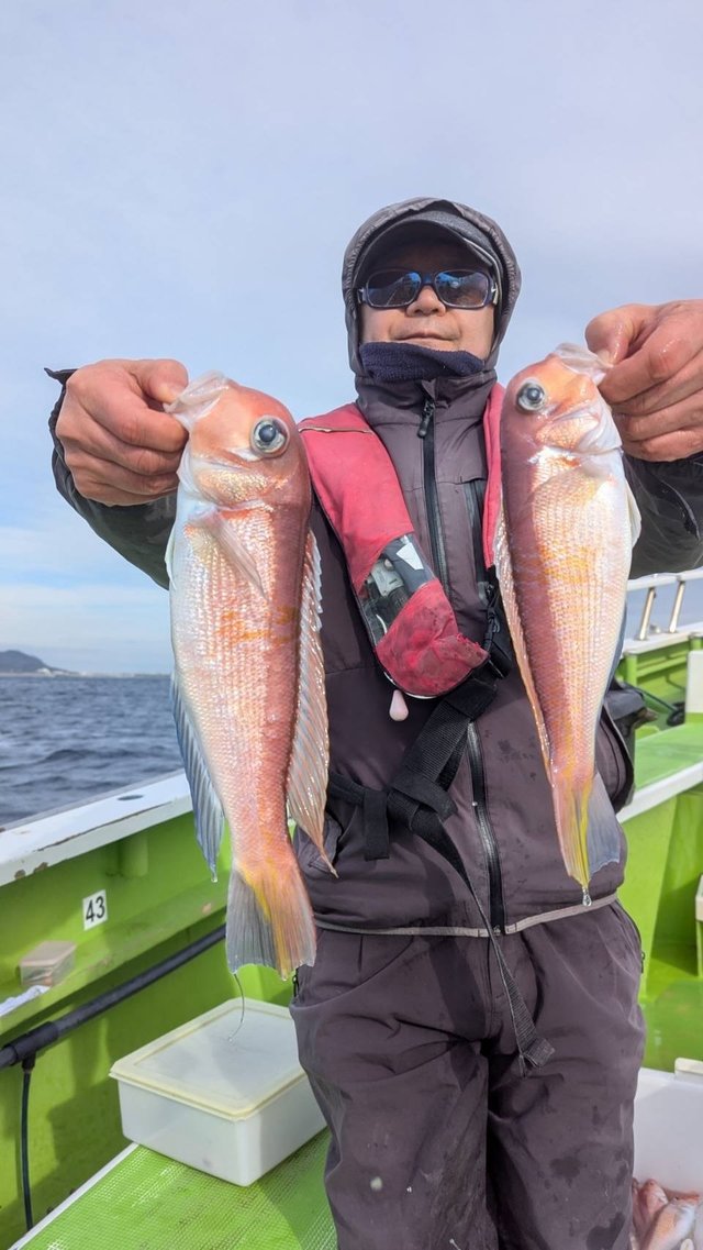 アマダイ(アカアマダイ)