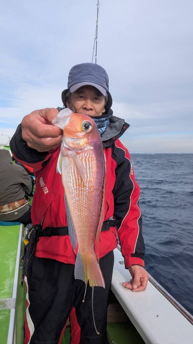 アマダイ(アカアマダイ)