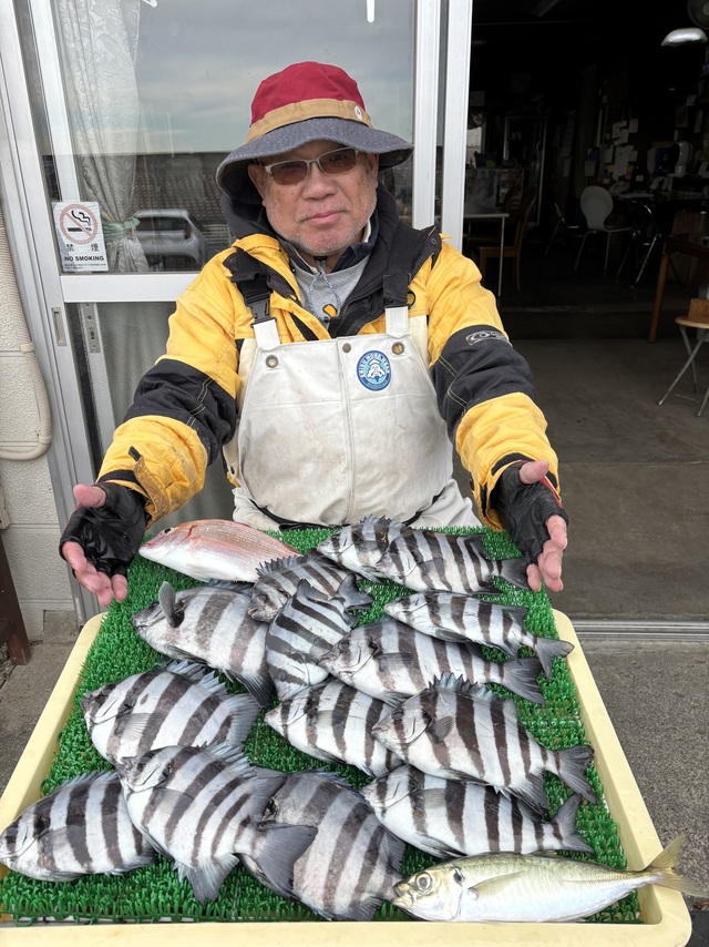 イシダイ・アジ(マアジ)