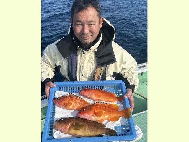 アカハタ・キジハタ