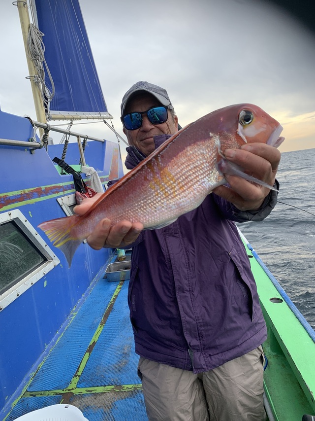 アマダイ(アカアマダイ)