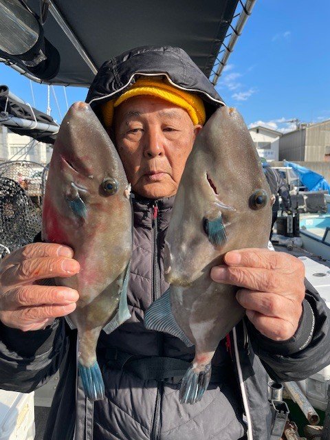 ウマヅラ(ウマヅラハギ)