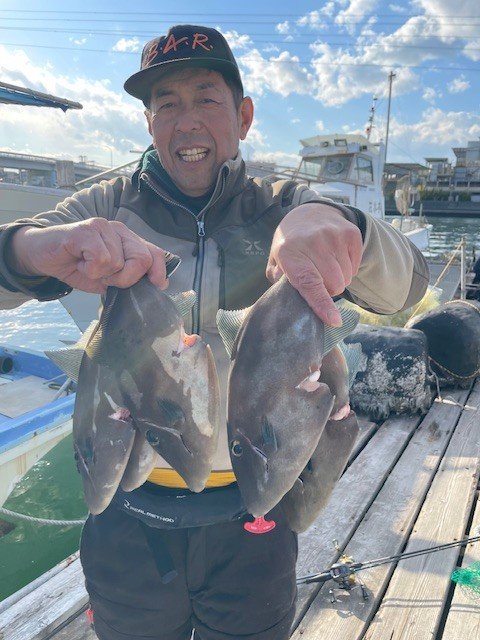 ウマヅラ(ウマヅラハギ)