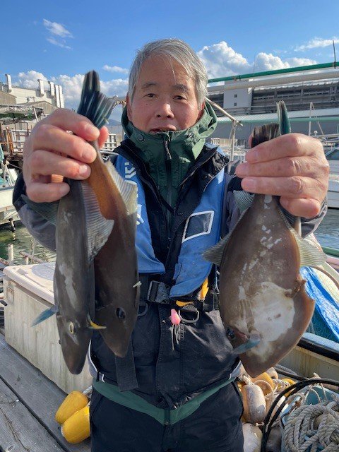 ウマヅラ(ウマヅラハギ)