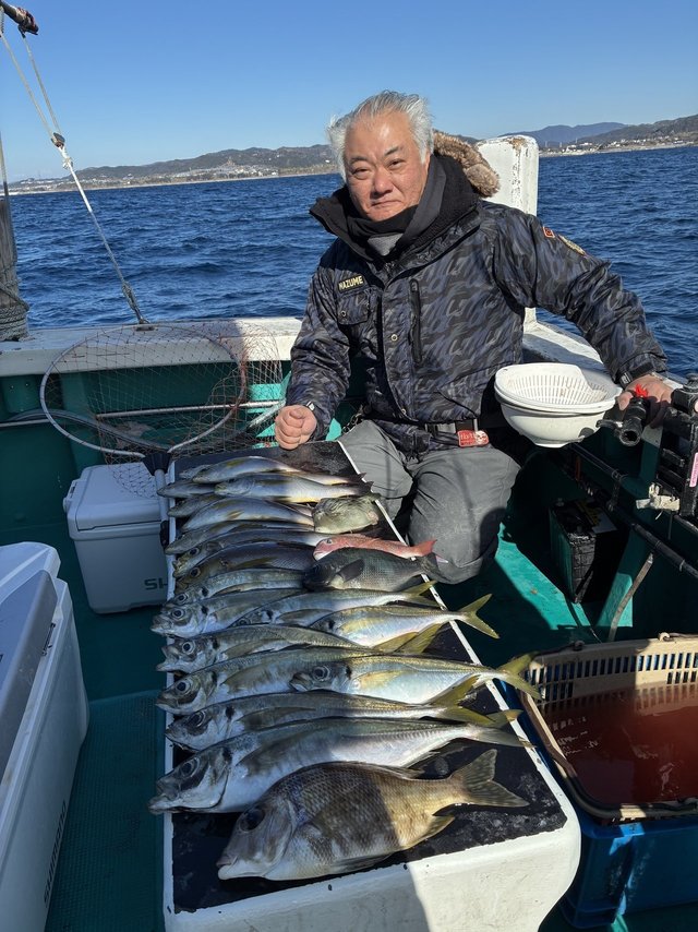 マアジ・メイチダイ