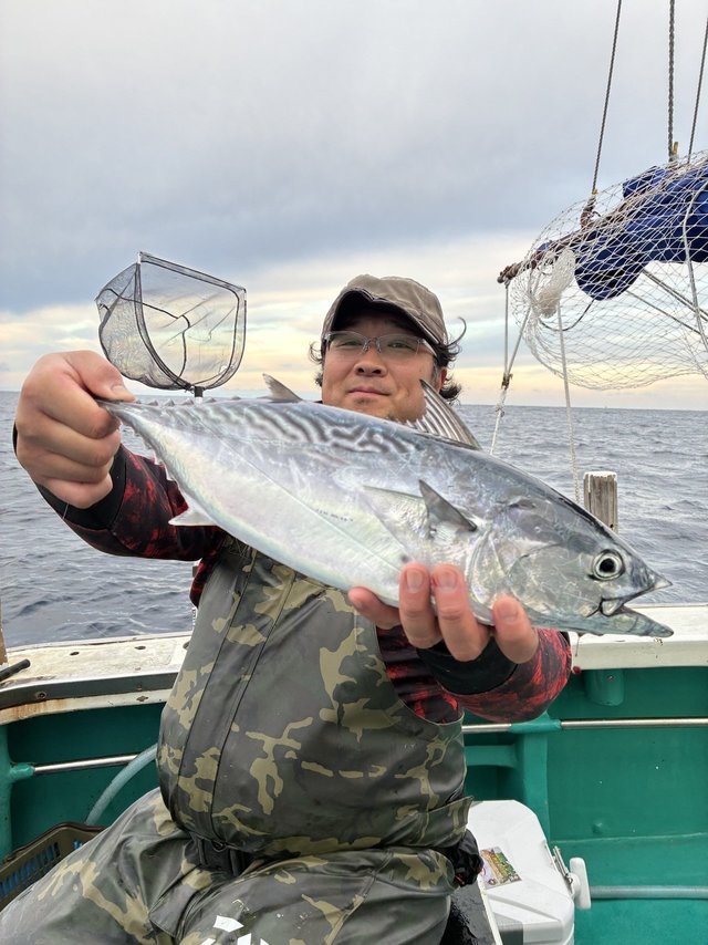 ヤイトガツオ(スマ)