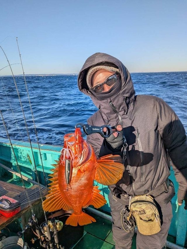 チカメキントキ