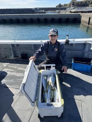 ハマチ(ブリ)・メジロ(ブリ)