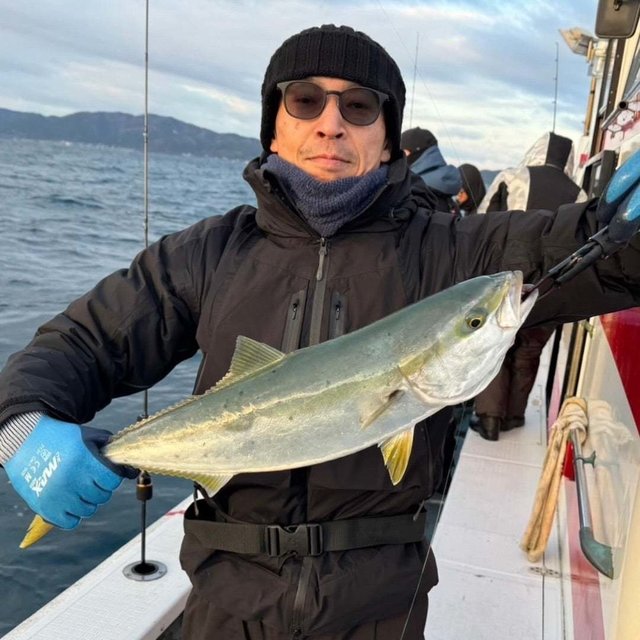 フクラギ(ブリ)