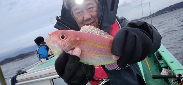 イトヨリ(イトヨリダイ)