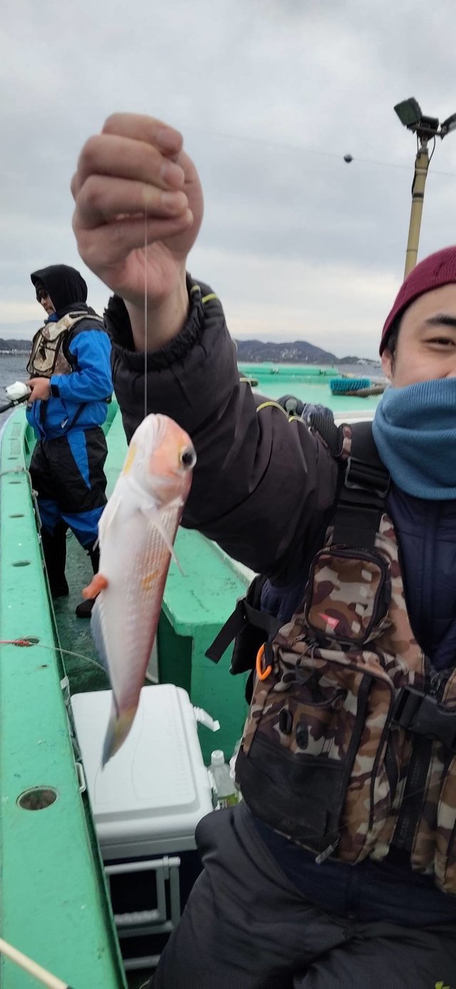 アマダイ(アカアマダイ)