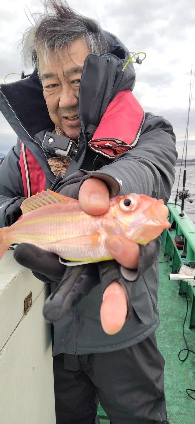 イトヨリ(イトヨリダイ)