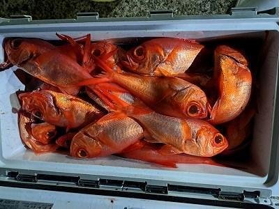 キンメ(キンメダイ)