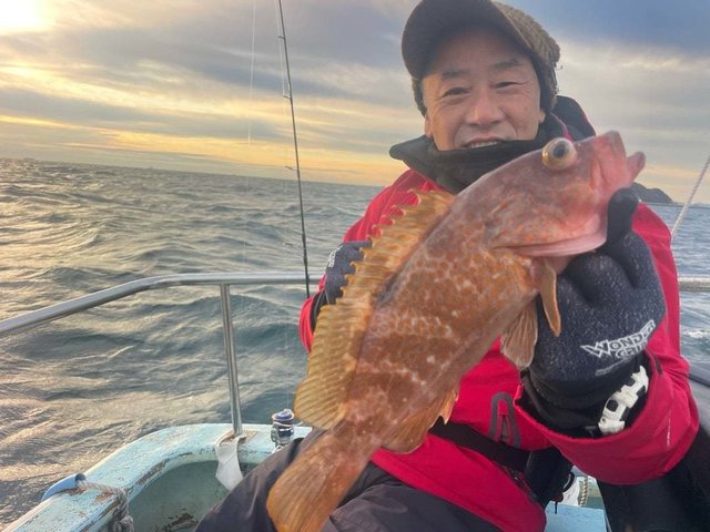 アズキマス(キジハタ)