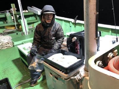 モンゴウイカ(カミナリイカ)