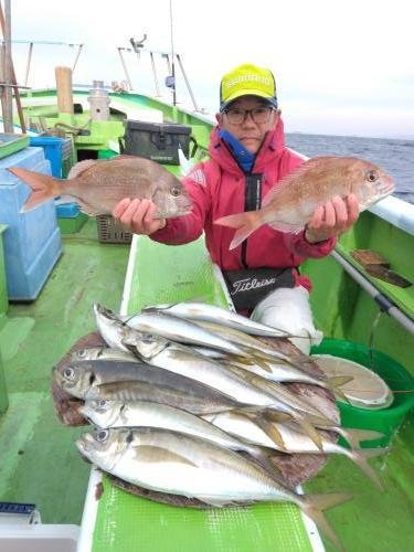 マダイ・アジ(マアジ)