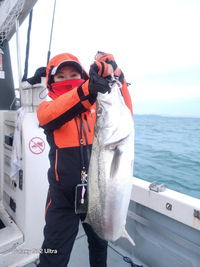 シーバス(スズキ)