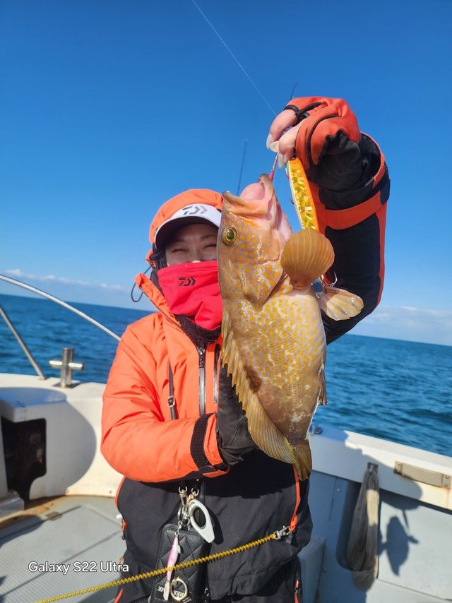 アコウ(キジハタ)