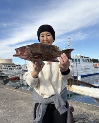 オオモンハタ