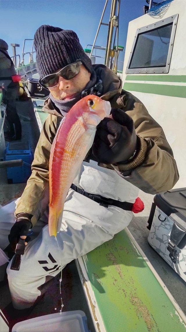 アマダイ(アカアマダイ)