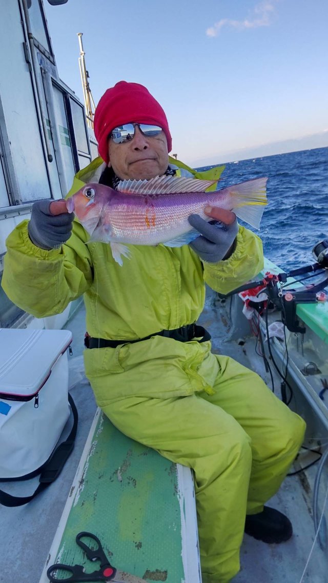 アマダイ(アカアマダイ)