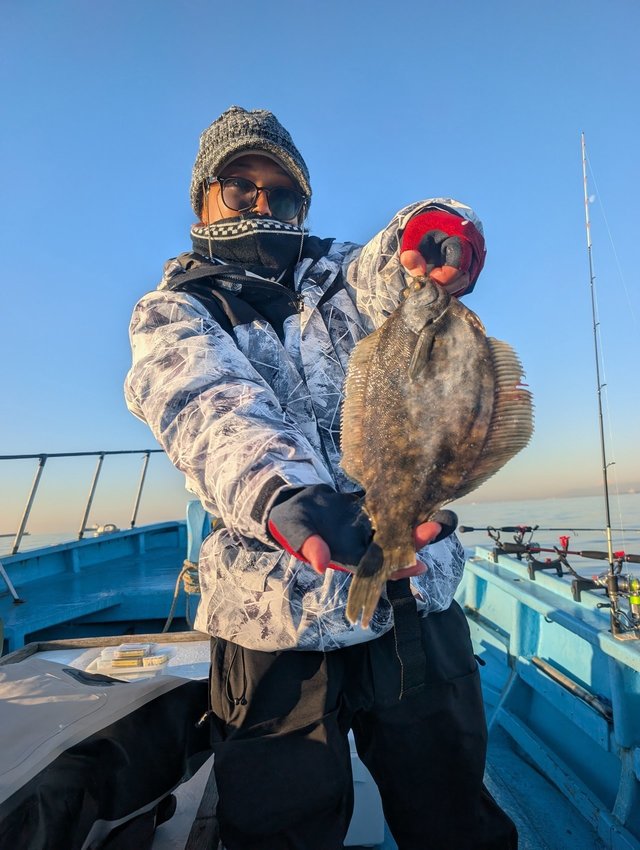 カレイ(マコガレイ)