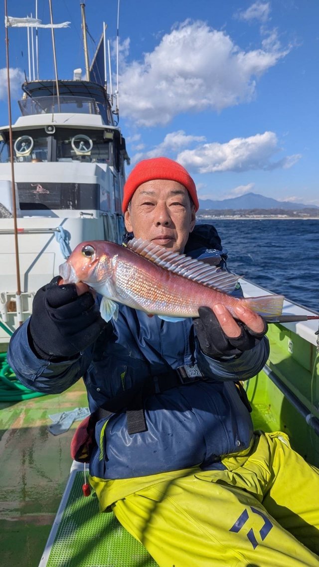 アマダイ(アカアマダイ)