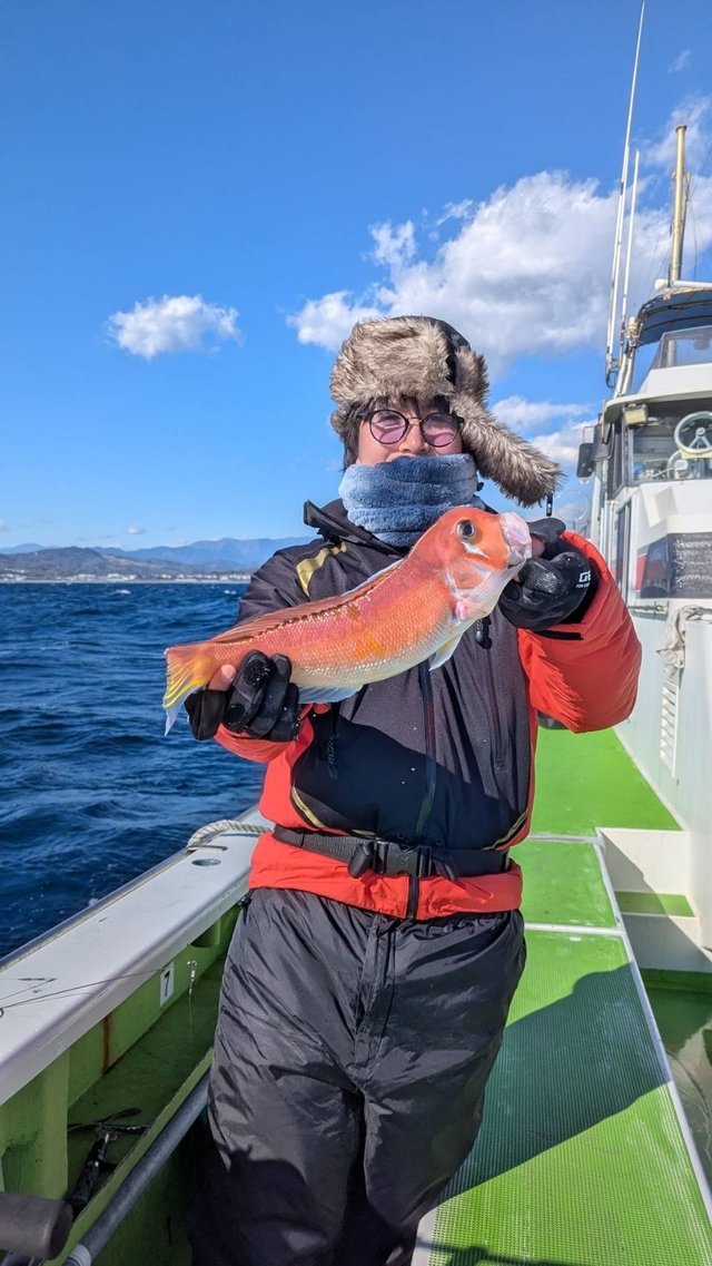 アマダイ(アカアマダイ)