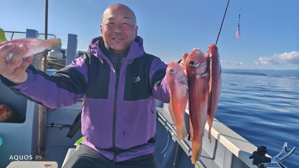 アマダイ(アカアマダイ)