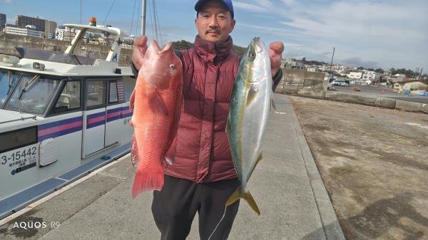 イナダ(ブリ)・コブダイ