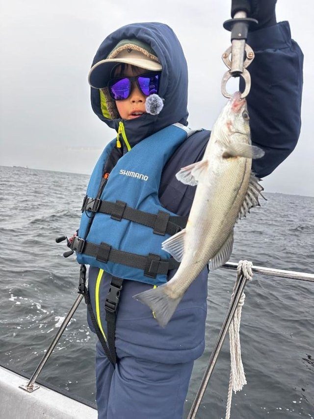 シーバス(スズキ)