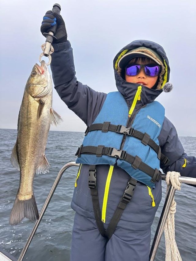 シーバス(スズキ)