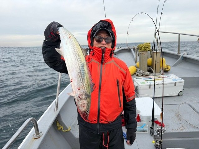 サゴシ(サワラ)