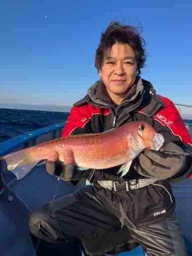 アマダイ(アカアマダイ)