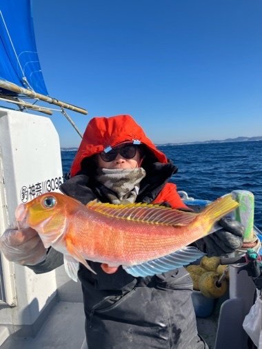 アマダイ(アカアマダイ)