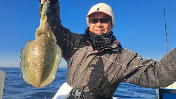 スミイカ(コウイカ)