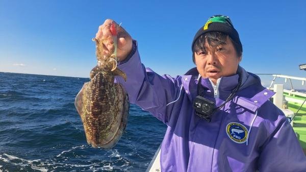 スミイカ(コウイカ)