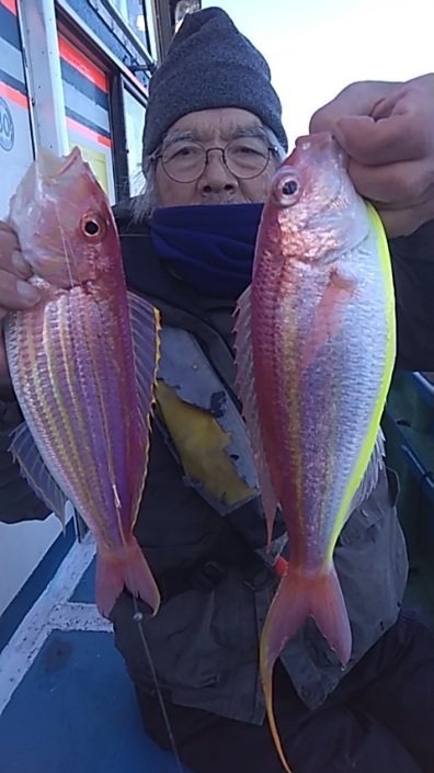 イトヨリ(イトヨリダイ)