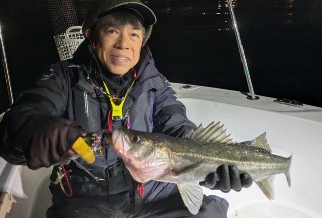 シーバス(スズキ)